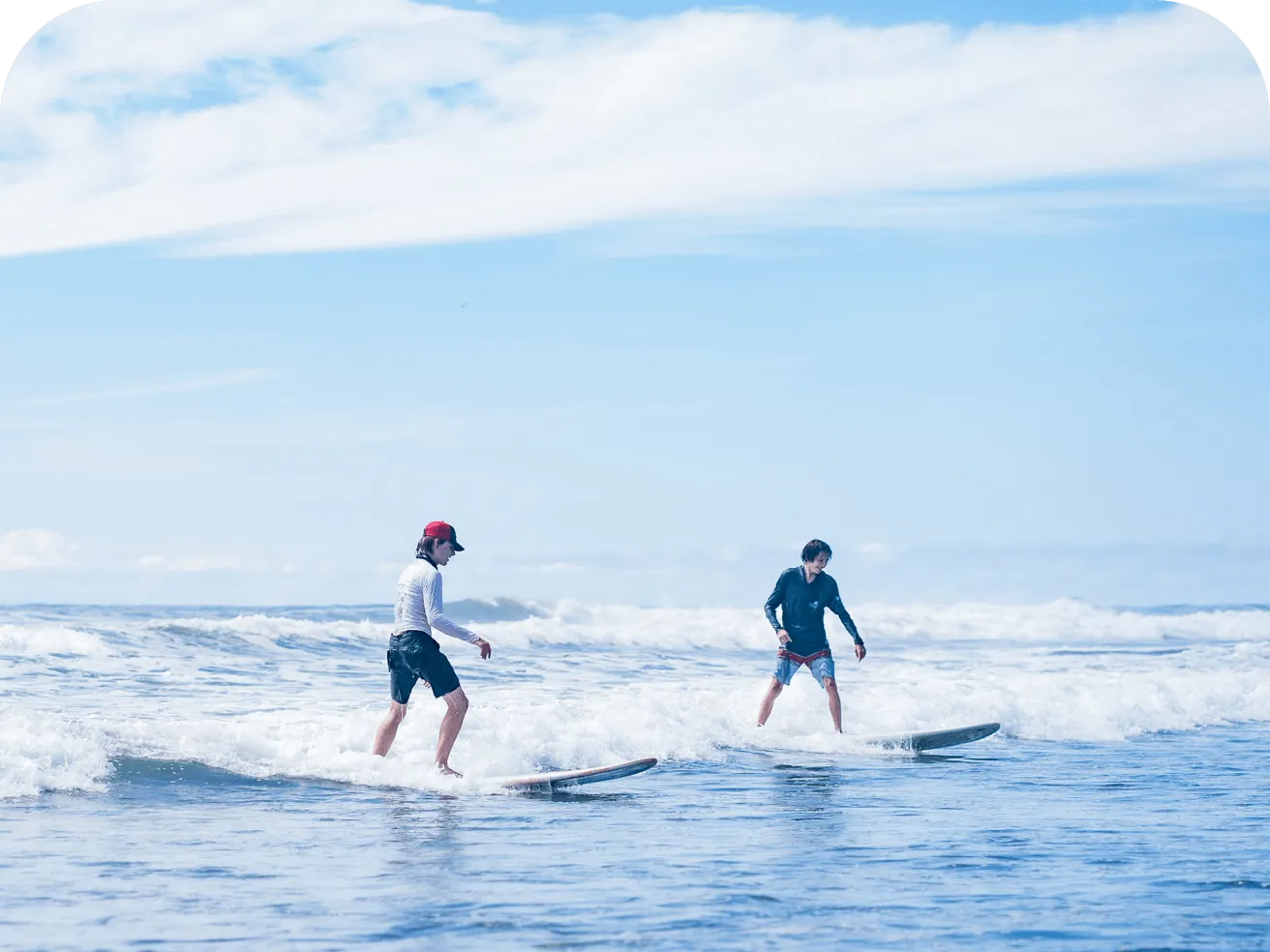 Surfers practising on long boards in gentle coastal waves