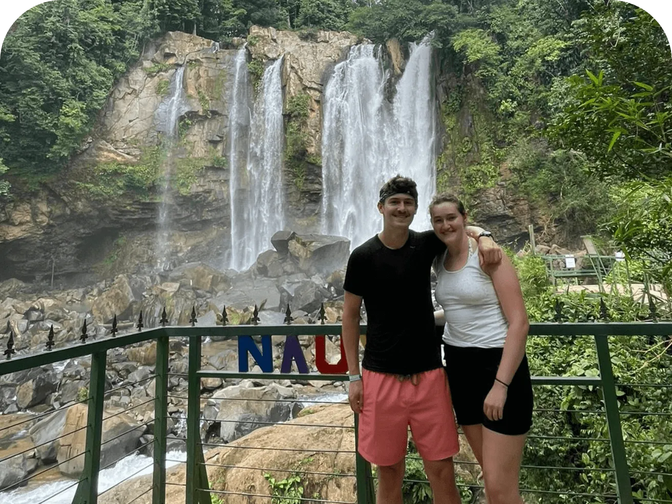 A stunning waterfall cascading into a natural pool surrounded by lush jungle