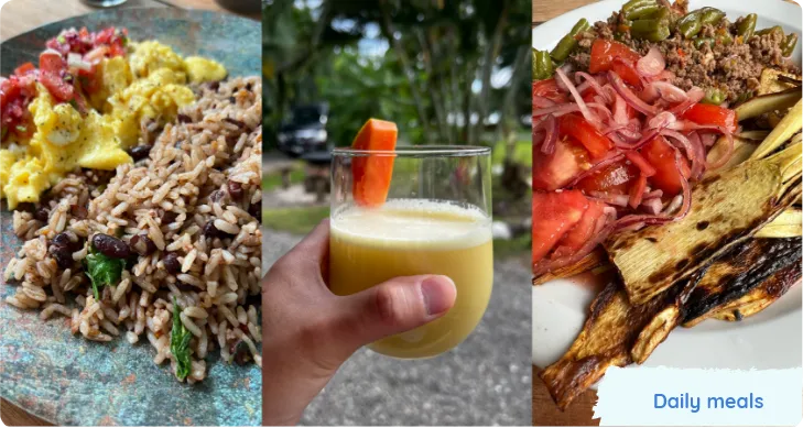 Collage of daily meals, including rice, juice, salad and grilled vegetables. Text reads Daily meals.